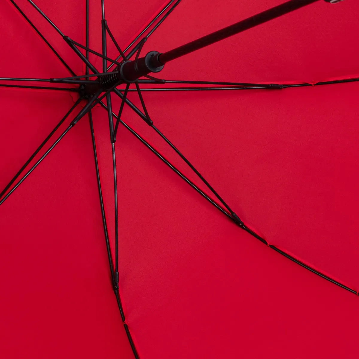 Ombrello Clio