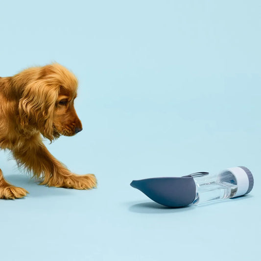Borraccia da viaggio per animali