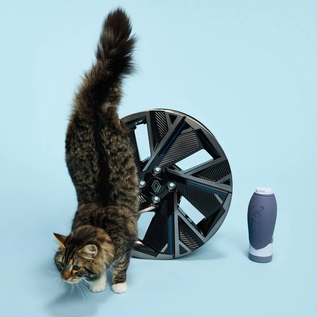 Borraccia da viaggio per animali